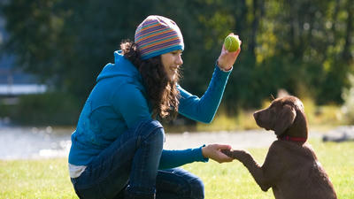 Puppy Training 101: Essential Tips for New Dog Owners