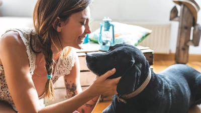 The Mental Health Benefits of Owning a Pet